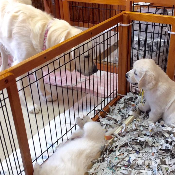 60754371 10ba 435e 87eb 3b08ff7b8e93