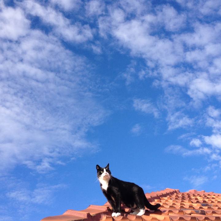 6075ad98 7430 4889 a694 032a201a6e3e