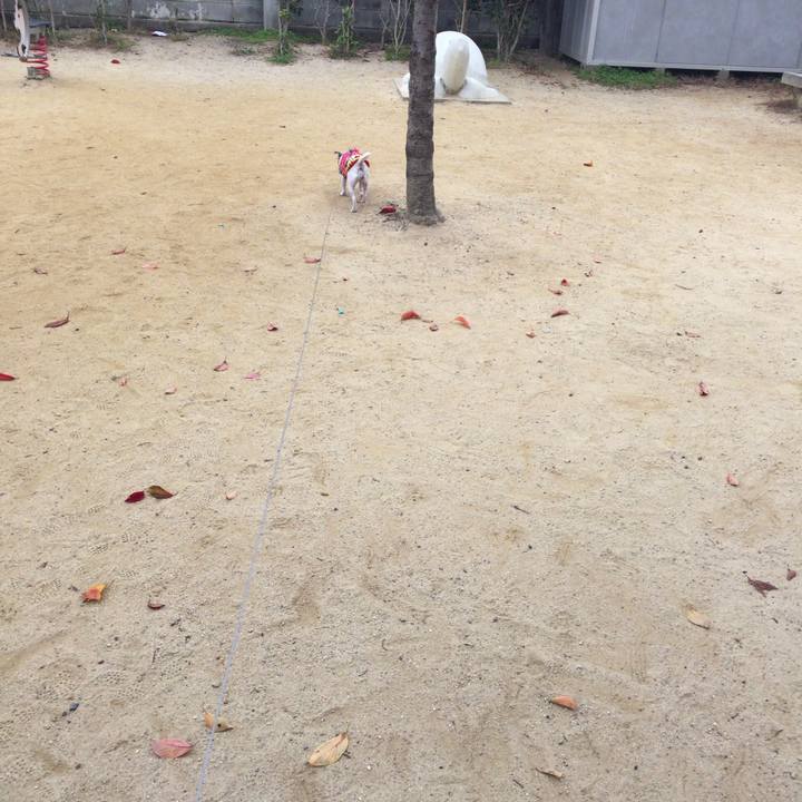 60760147 ac47 446b 9bb9 39ca232304f4