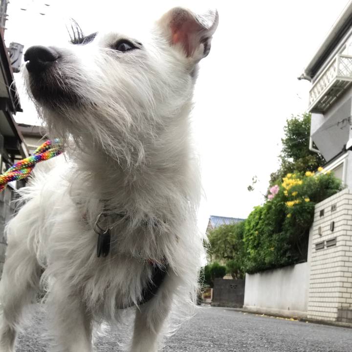 607619c0 f26b 4b98 9015 13675f33c261