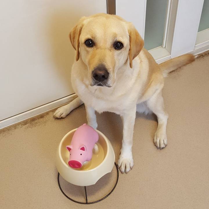 607688f1 36cc 4ca5 abbc eee202e6b099