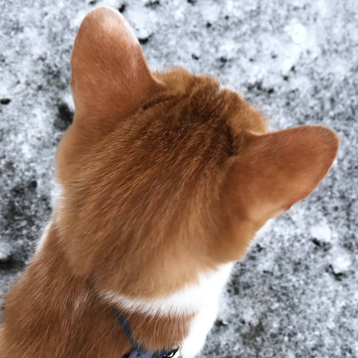 6078302b 4c38 4154 ba4b 0ffd273d95e2