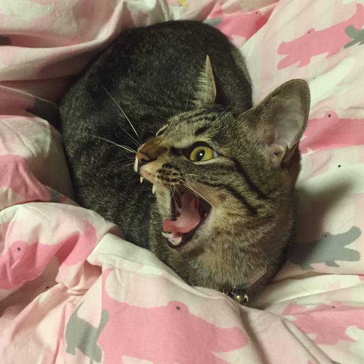 607879b4 2405 478d b679 1e7cded1bd7e