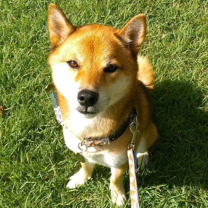 607889b1 f976 42aa b2f2 b6ce4038464f