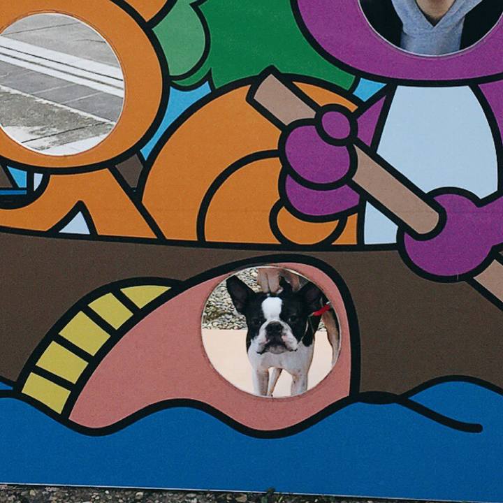 60789227 a145 4283 8065 124071205781