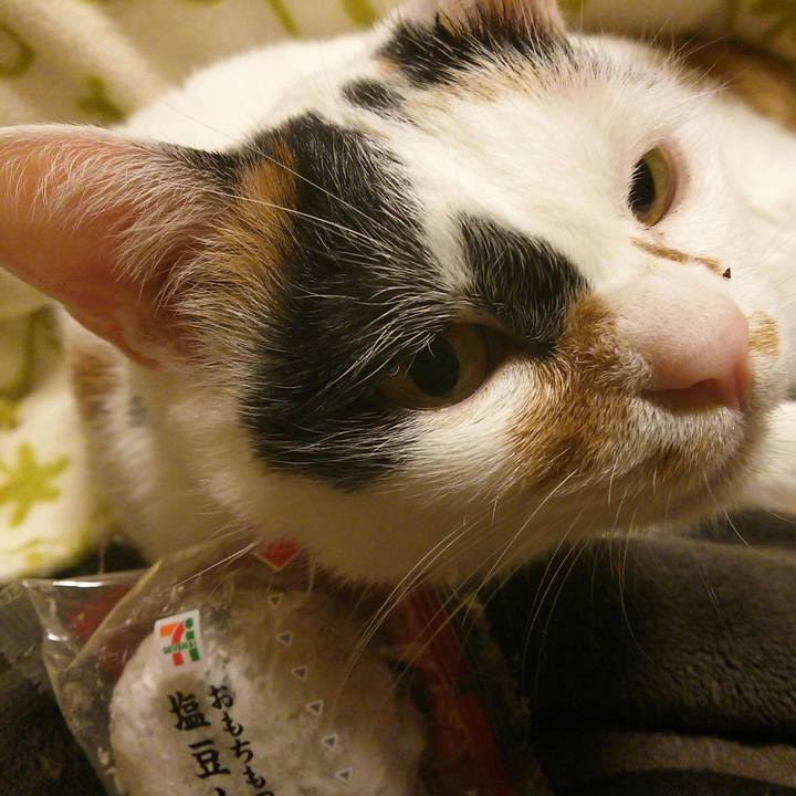 60791e27 463e 4579 b3ad f6bfbfd490cc