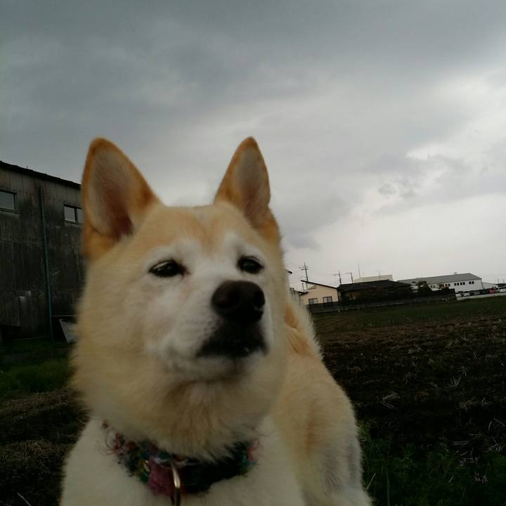 60793d27 c182 4e19 8f0f c1d4372a8c28