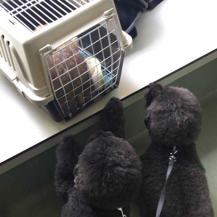 60796ced a7bb 4af4 8c66 4e5a792227fc