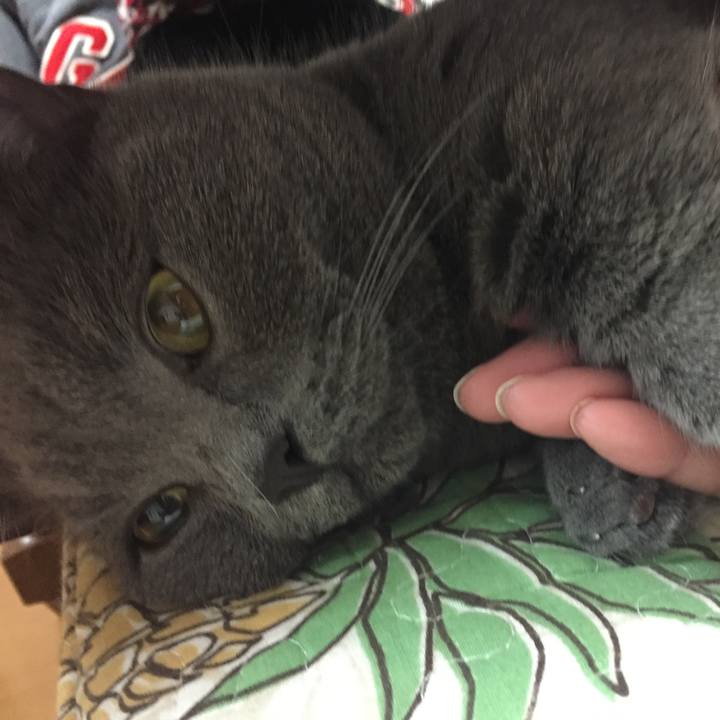 6079b2f2 4ff4 421b a87c af88c3b7a043