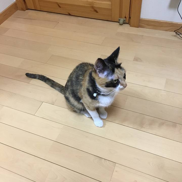 607a51e0 3ab2 42f1 9ee6 59aebd143df5