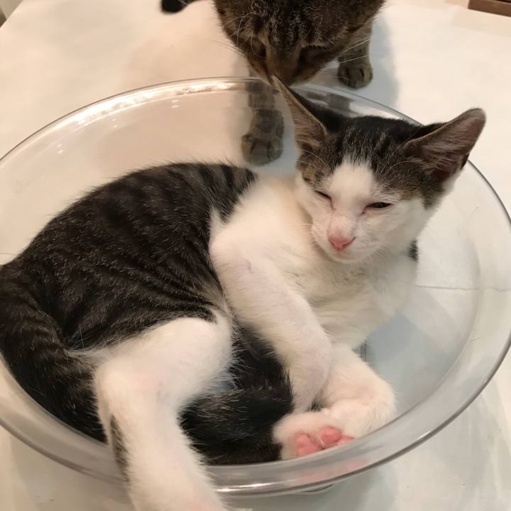 607a96cb 05eb 43fb bfc7 e02ddd24f4bc