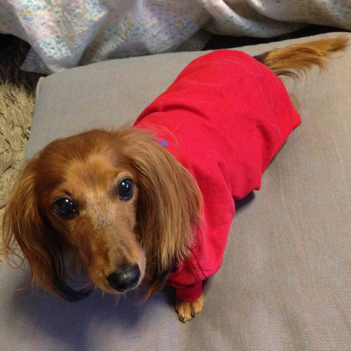 607b4100 404f 4f62 942a 5ad773990f65