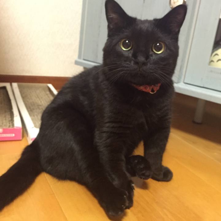 607b449c 3635 4812 8b6a 769e88baeb54