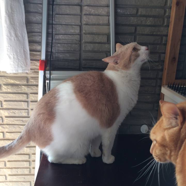 607b564f 9480 43ad a2b4 795ace3bf910