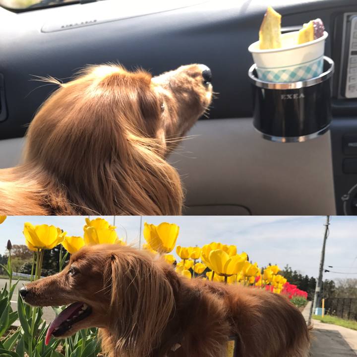 607b8f30 3f2f 485d 9dac 5eabc925b922