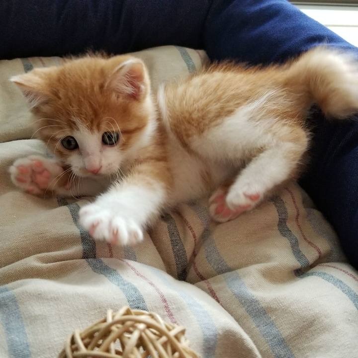 607bde80 863c 4941 8532 7162020d69b0