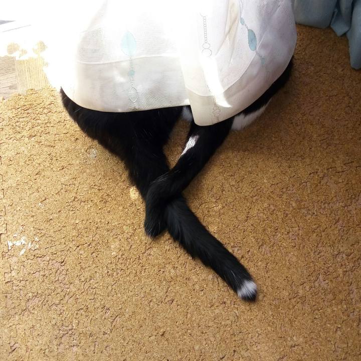 607d0a01 b31b 40c3 a24c 40dafe94a7f2