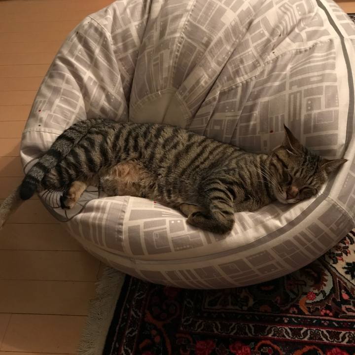 607d3612 8890 496e 9a11 4517f1a84222