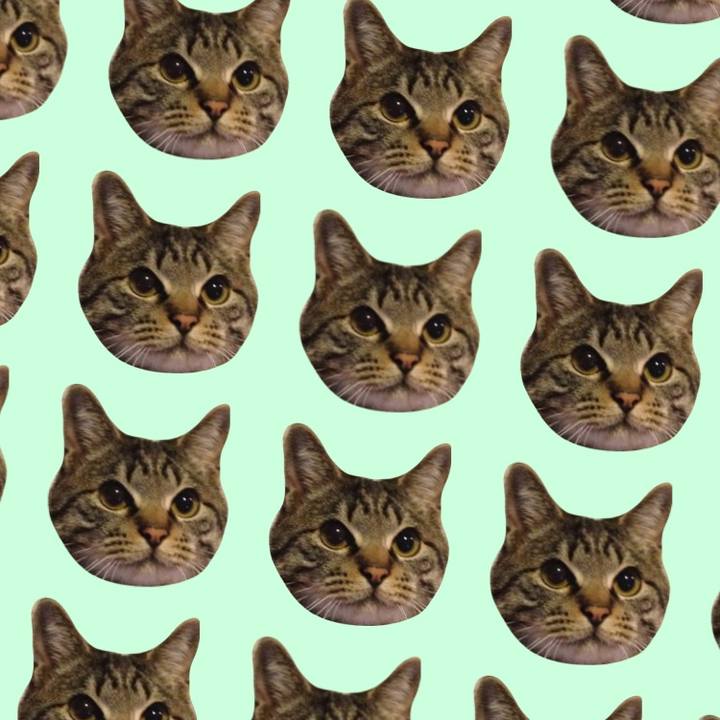 607e0821 847b 4476 bcdf b0ae34af9daf