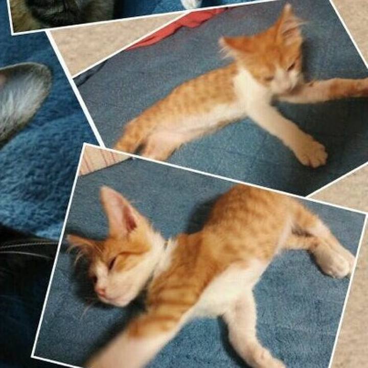 607e2d60 8752 49cc b234 bd40fef4ebc7