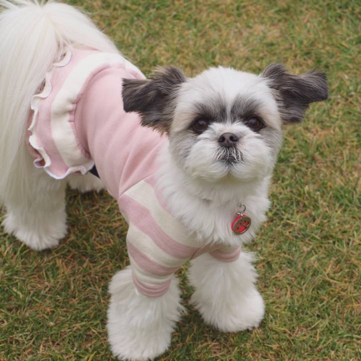 607e72f1 6744 41b8 8923 2d68ae31dca0