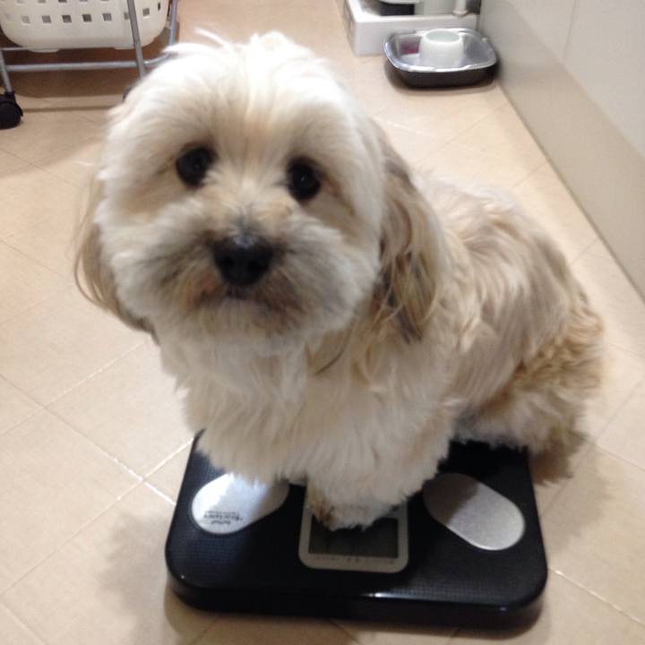 607e8777 655a 4990 95b6 55c995a135d2