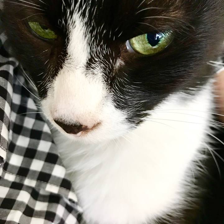 607eaea4 198f 44fb 81ee f3b7f7405249