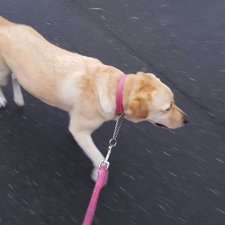 607f4566 65ab 4b0e b05a 1d9283b291f0