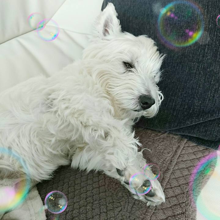 607fa9e3 c1c3 441a 9c51 85176e8300bc