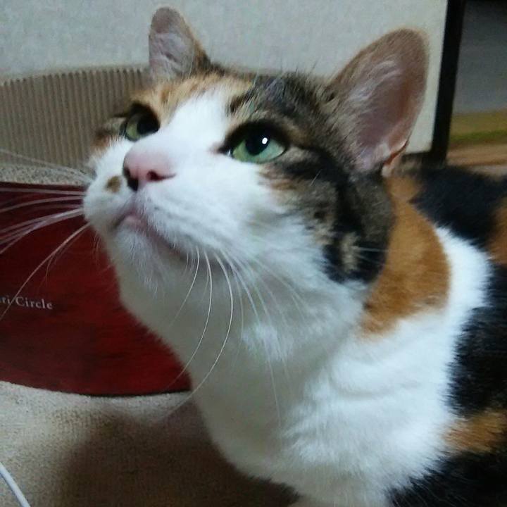 607fcc7e 249d 438e ade8 04cd3c176684