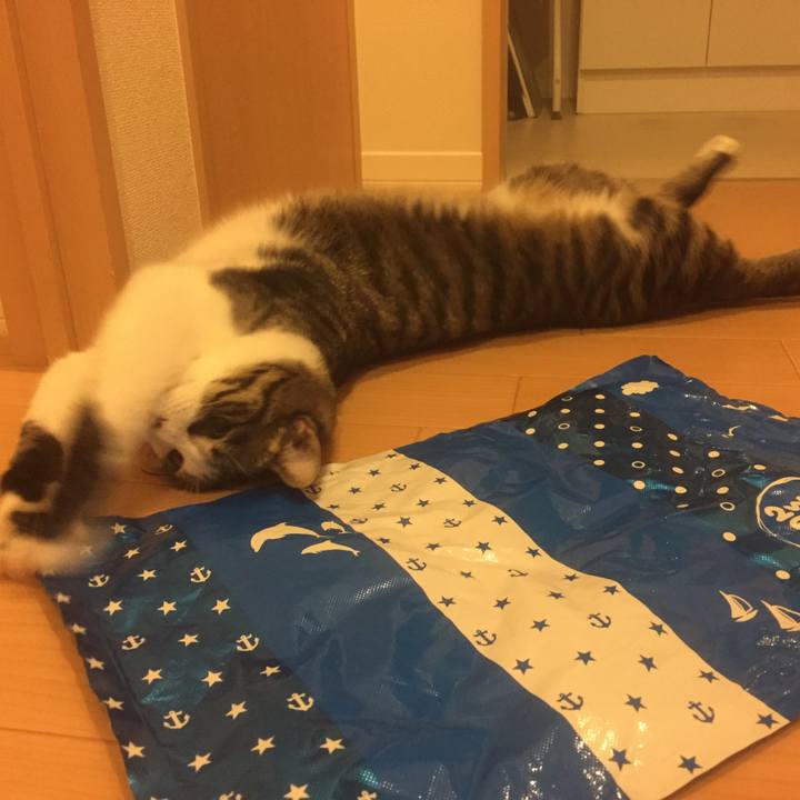 607fd5fe a8a9 49cc b902 94f42eea455e