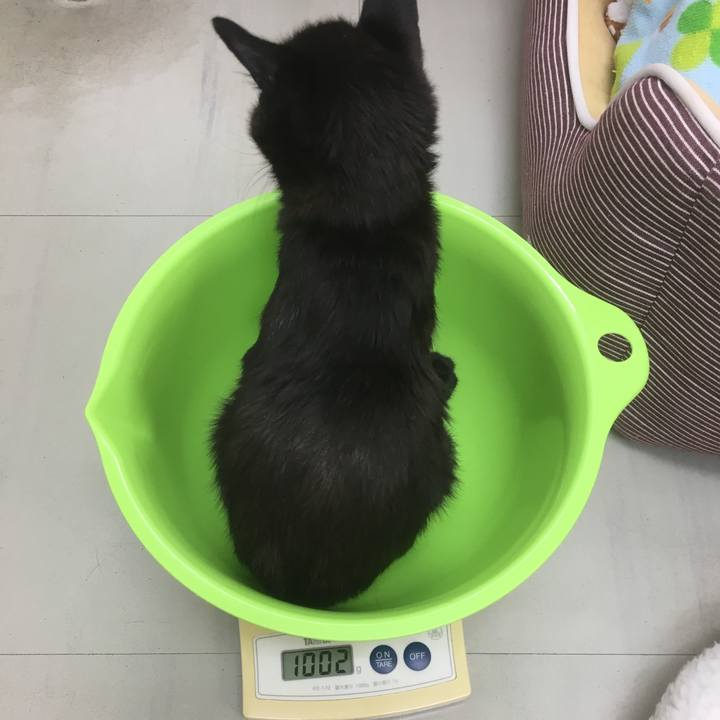 60809457 069a 4ca1 a4c6 5e70b8d872cd