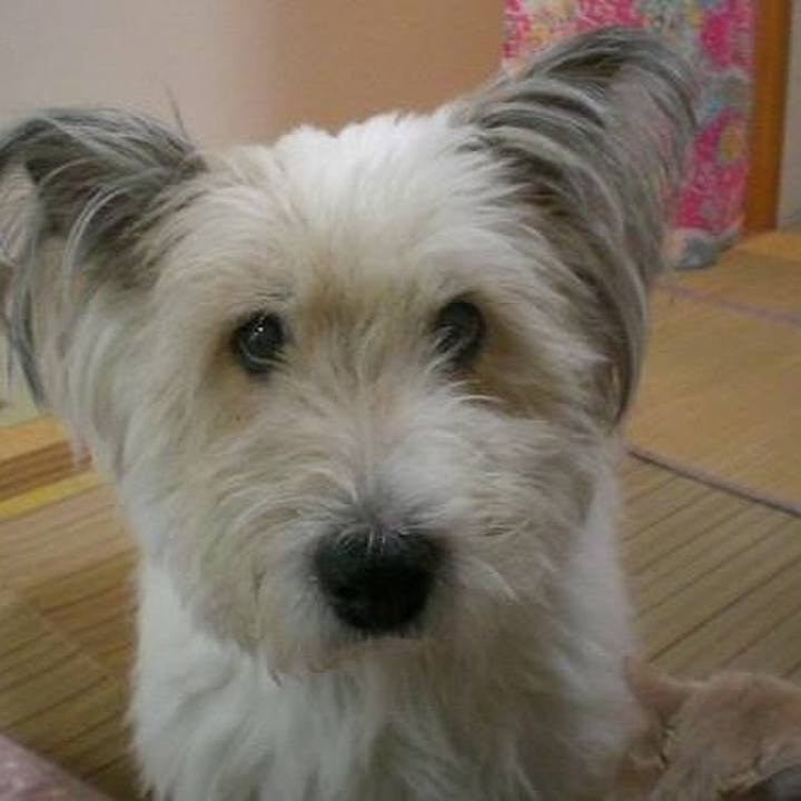 6080b4fc bc24 402d 99fe 590fdd6fb39d