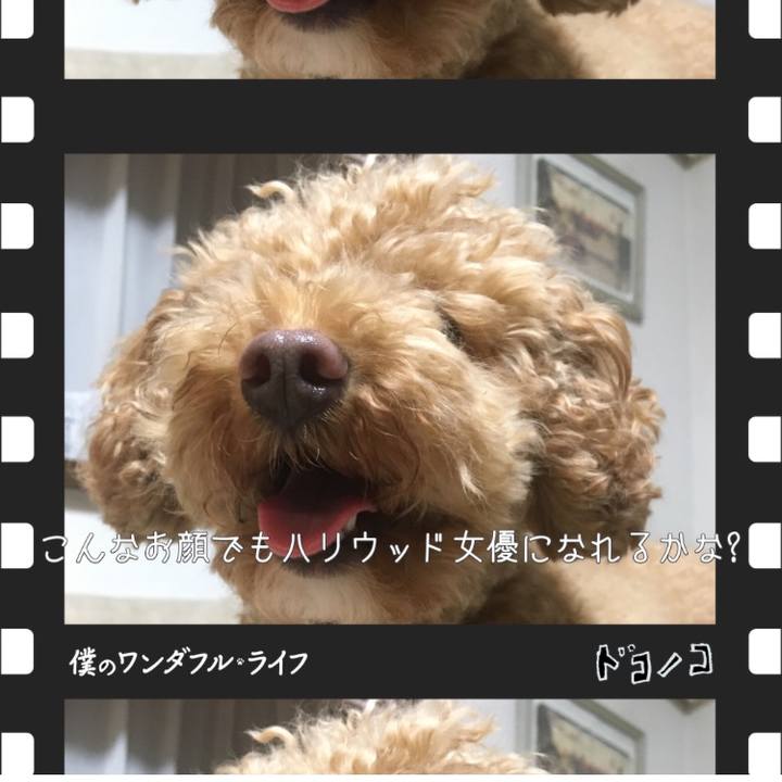 60810430 ba04 48dd b78d db075189c4e0