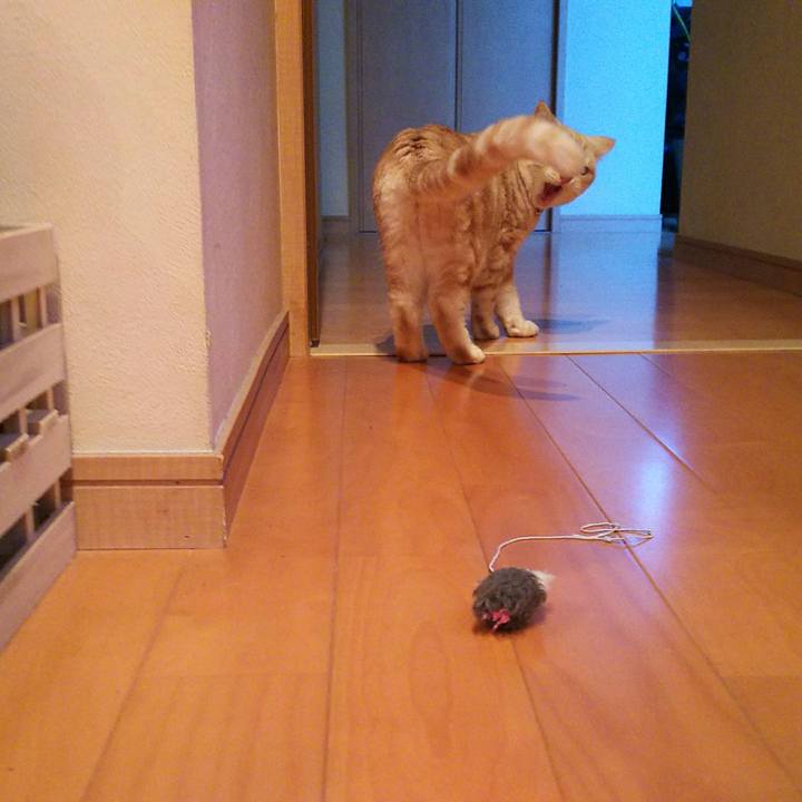 60812b4a e60f 4345 bc8a 112041b04996