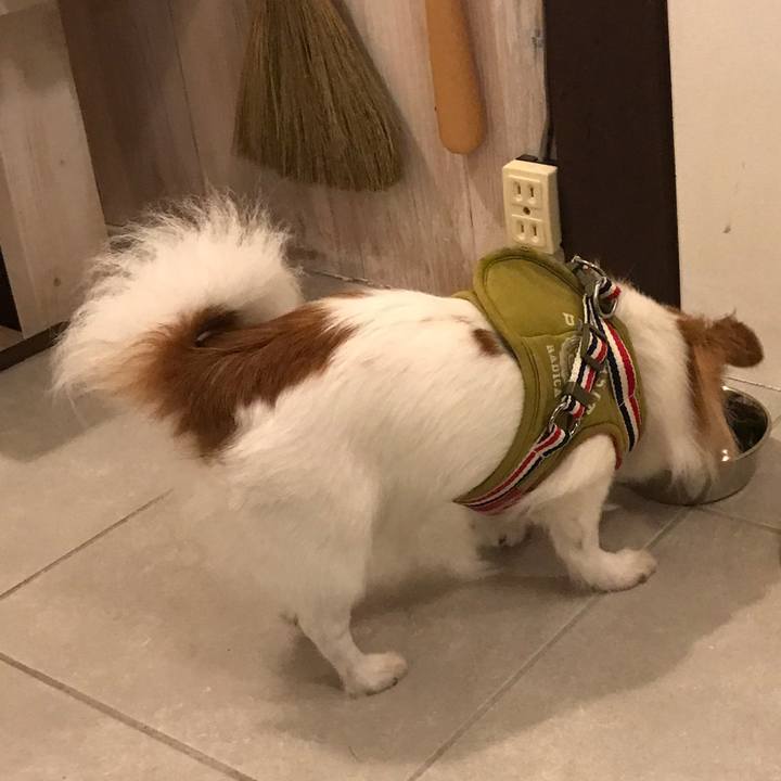 608146ac b6b7 4768 a417 559ba7edb402