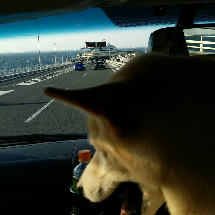 60815636 d22c 4cac a3bc 3a3dde1bd6a6