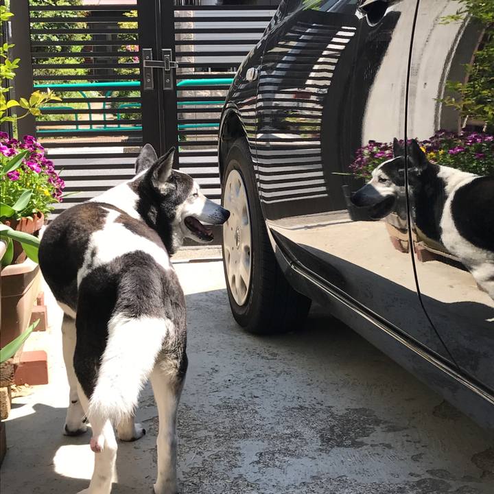 6081a356 91f8 4dd1 886f 88efa32d42f9