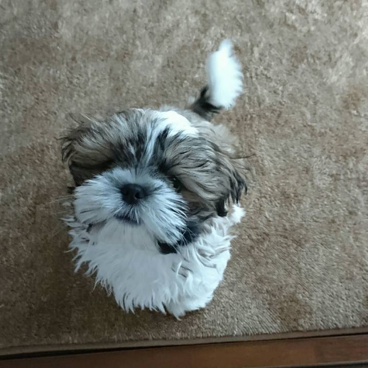 608226d0 26ba 43e3 8596 92a4f638dc65