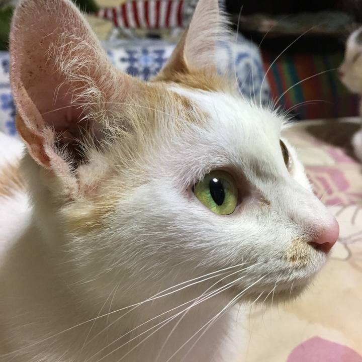 60823844 2512 4a55 8a83 a6dea69a2d74