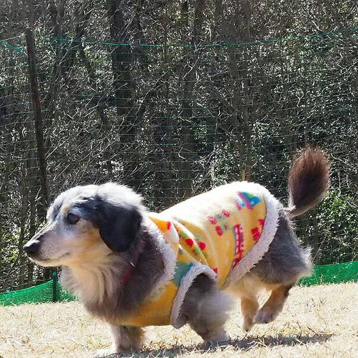 60835f7f 883d 4288 9c8f a7b14cb5e81d