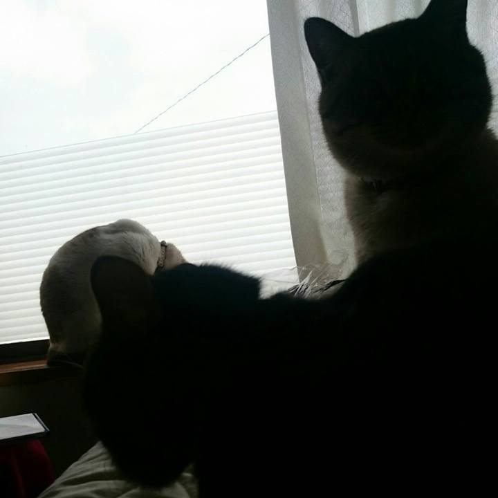 60849ae1 11b8 4960 bf79 04111cce9b69