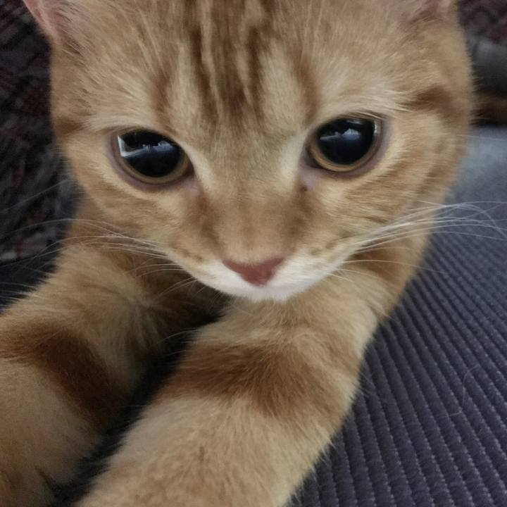 60851d83 fe3b 4b7e a272 387ce495bc6c