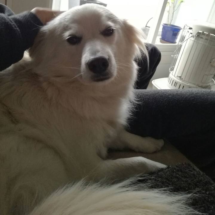 6085a79d 2cfc 498f 9020 75d8c388fd72