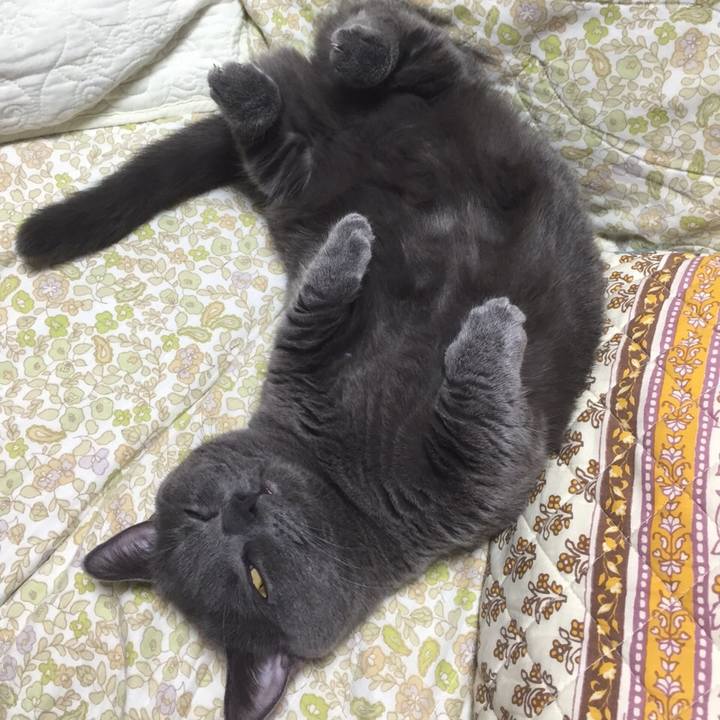 608614a5 e2fa 44a8 a646 80caa5bdb85c