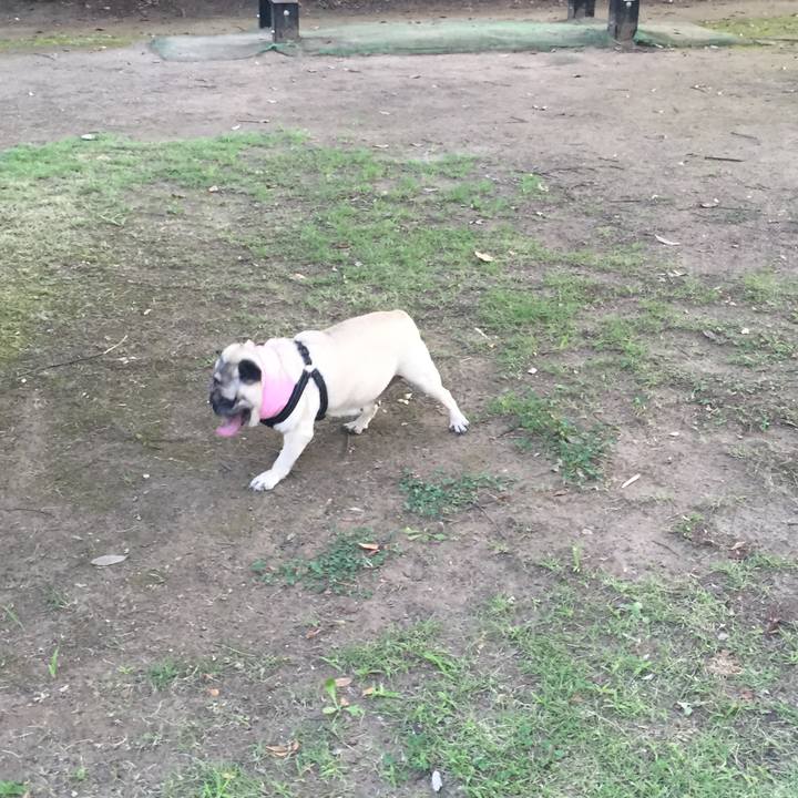 60870882 be3a 425e 97a6 178ac882cbe6