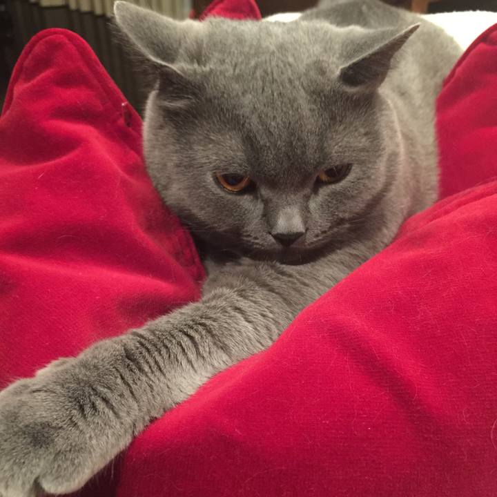 60873bf1 c9b3 4cba af19 b219c09b2519