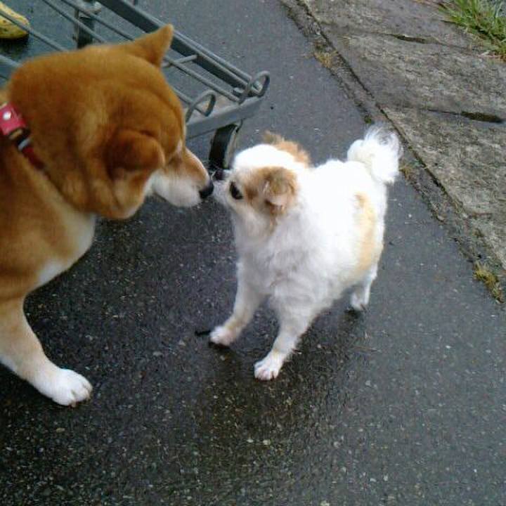 60877ef9 0833 43a3 9b00 7e04f4066dea