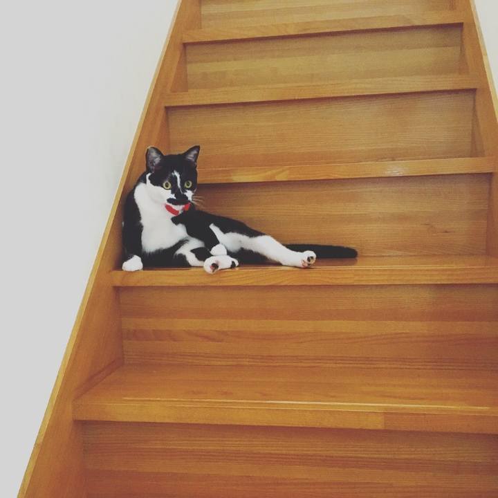 608827bd 8eed 411e ab09 129785f9b214