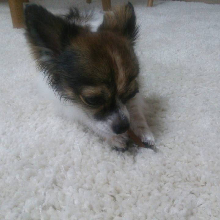 60886257 1d3d 4aec 8df4 3462d5dfabd7